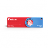 FASTUM MG 100 mg/g x 1 GEL BISNAGA